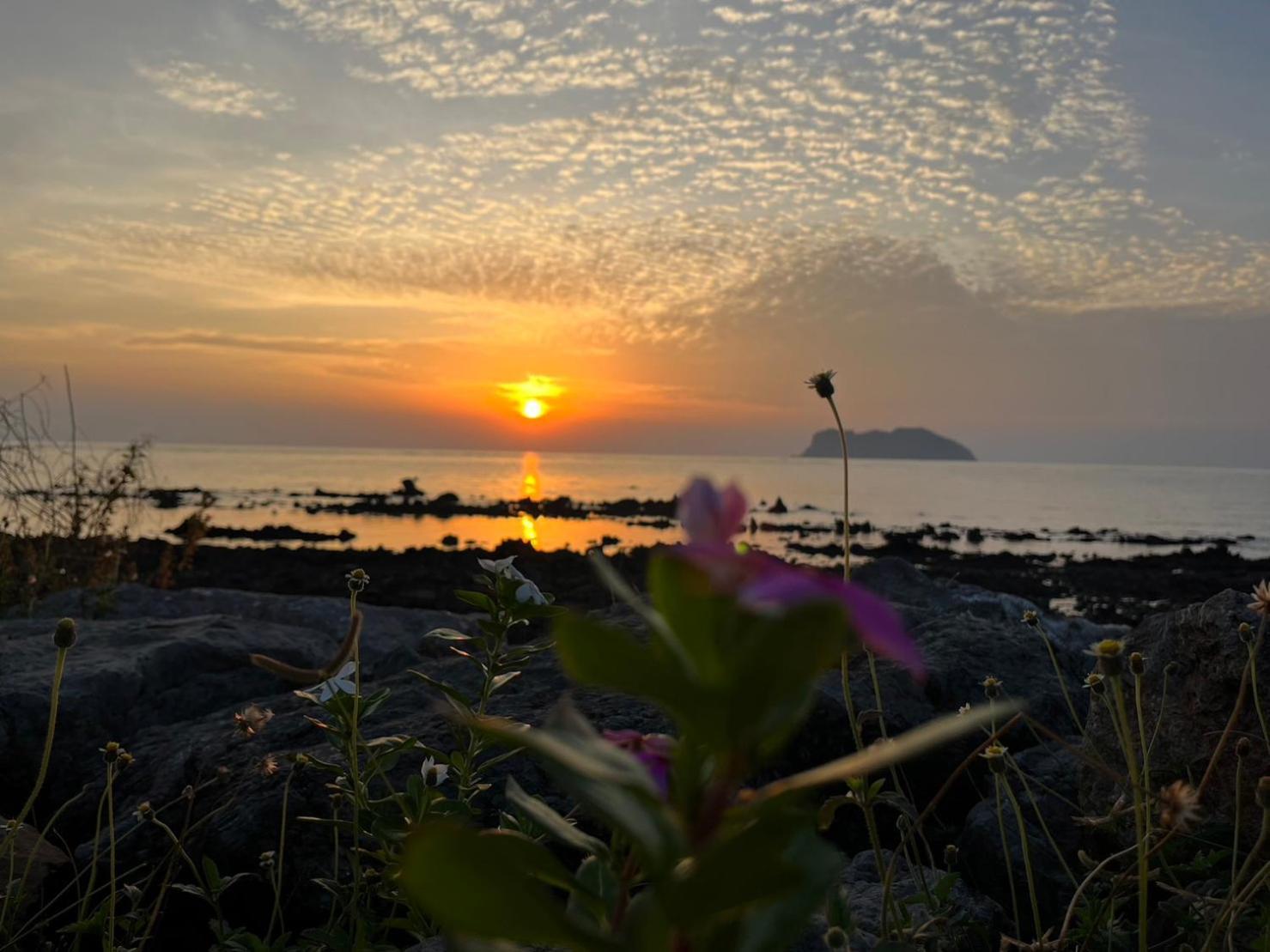 The Beach Resort & Residence - Sha Plus Pathiu Eksteriør bilde
